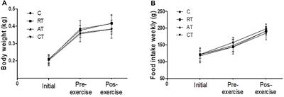 Exercise and Omentin: Their Role in the Crosstalk Between Muscle and Adipose Tissues in Type 2 Diabetes Mellitus Rat Models